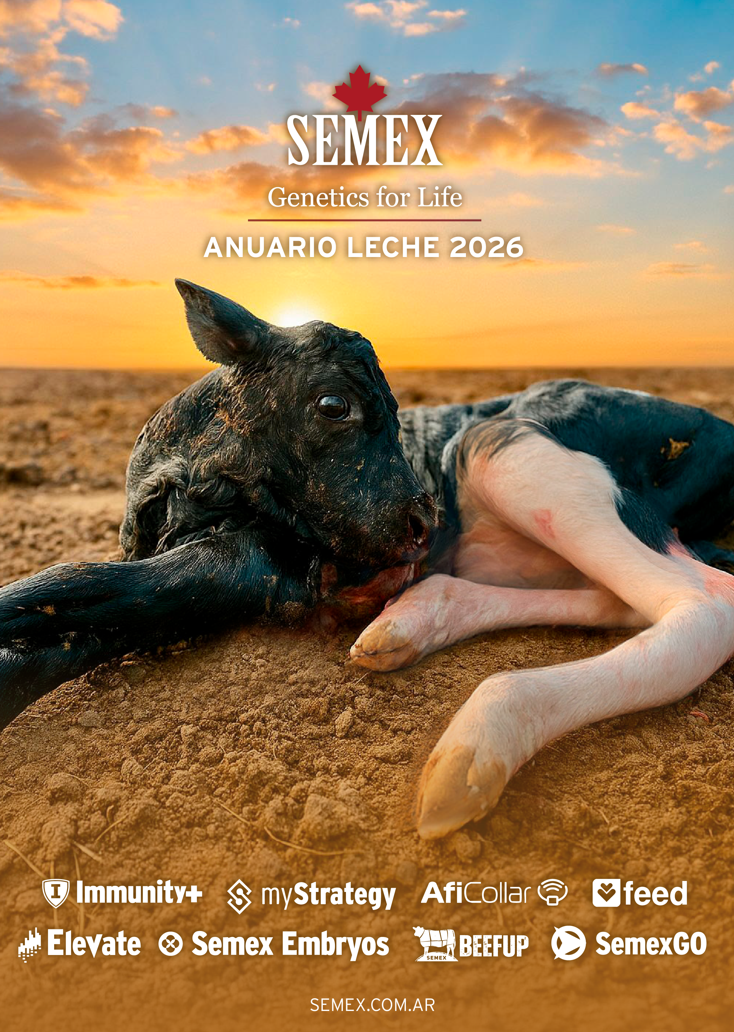 Anuario Holstein 2026